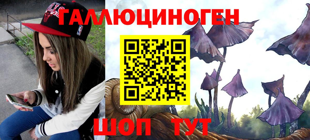 Майский  Галлюциногенные грибы мухоморы  Вход с VPN  Псилоцибиновые грибы MAGIC MUSHROOMS 
