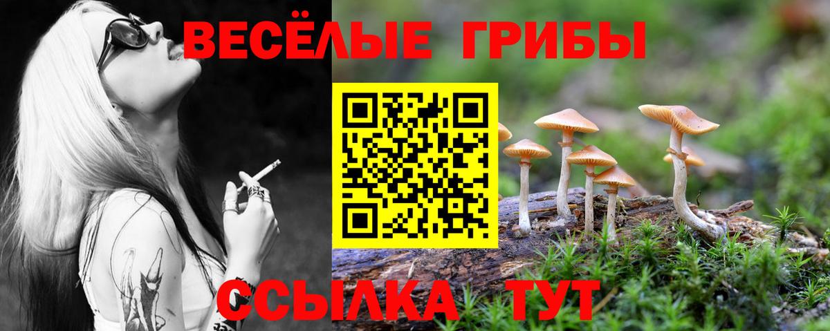 Псилоцибиновые грибы Magic Shrooms Майский